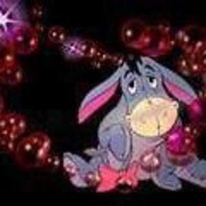 Meet your Posher, Danny